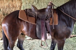 lazy-sp-props-western-saddle-03