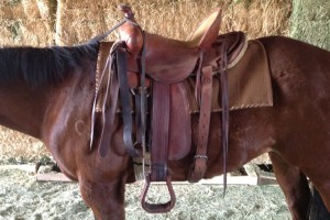lazy-sp-prop-western-saddle-04  
