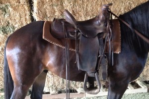lazy-sp-western-saddle-06  